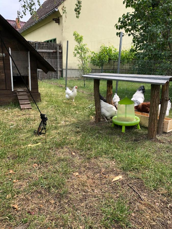 Ferienhaus Sterling Luckau Buitenkant foto